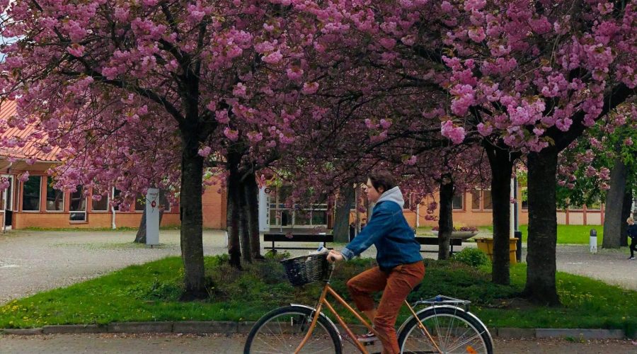 Radfahren für Fitness
