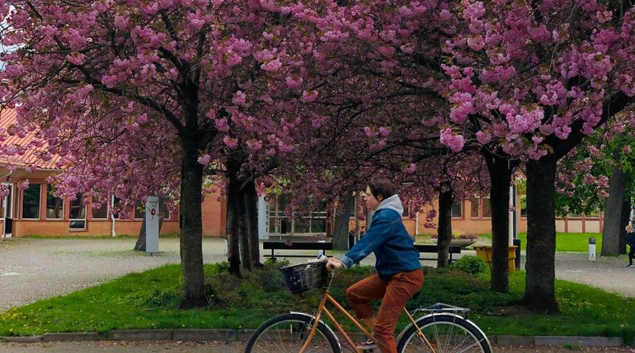 Radfahren für Fitness